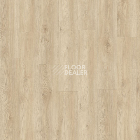 Moduleo Next дерево Torre Oak 248 фото 4 | FLOORDEALER